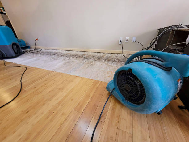 Professional Water Damage Repair technician working in Adrian, MN